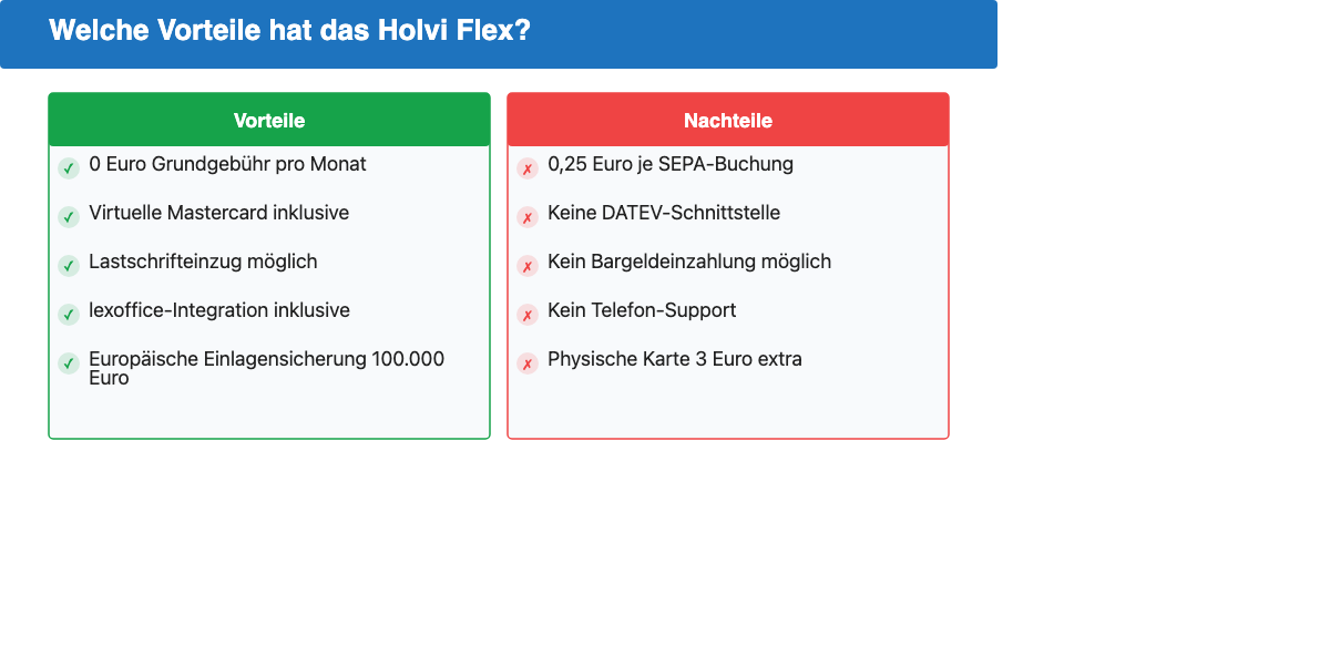 Holvi Flex Vor- und Nachteile im Überblick